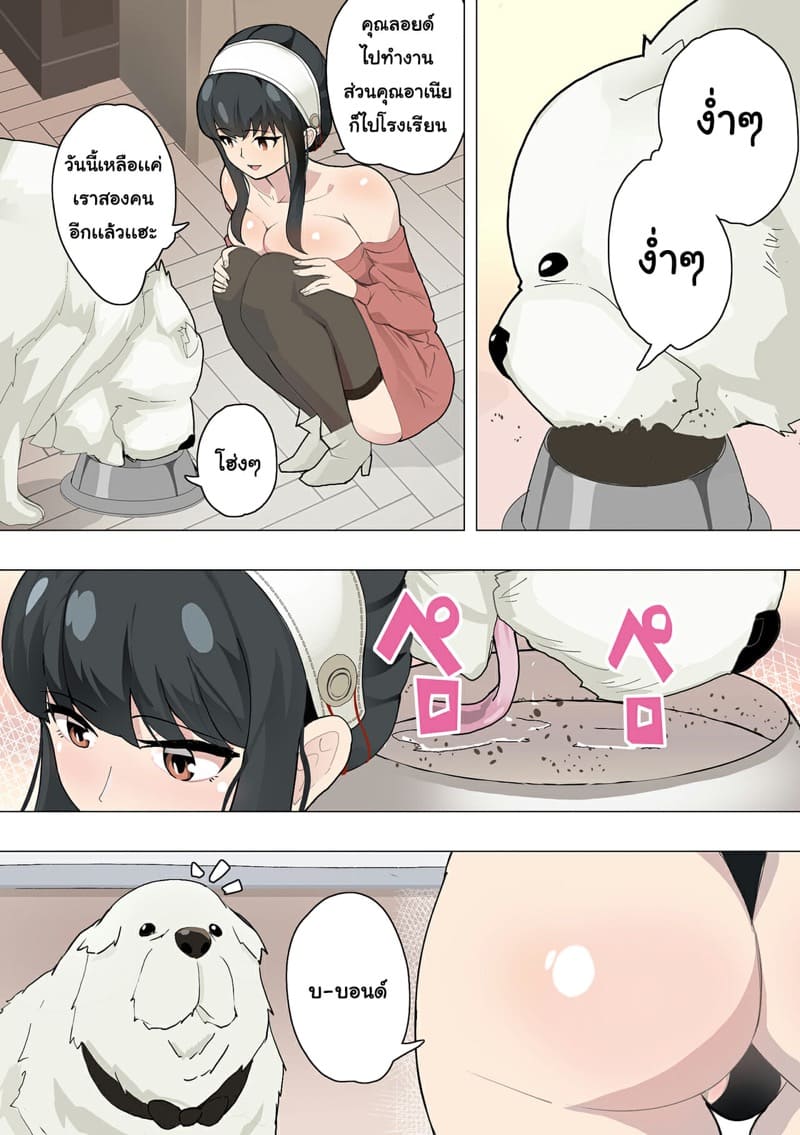 โดจิน ความลับของคุณยอร์